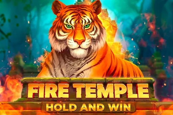 Fire Temple slot cover